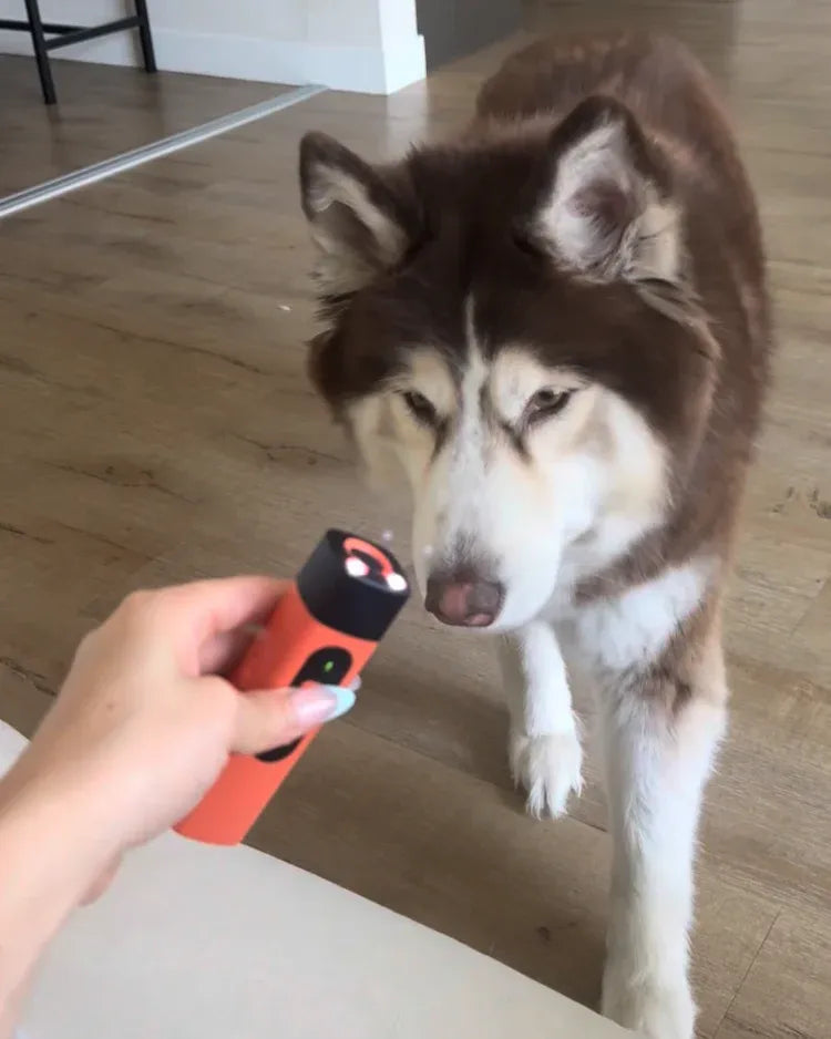 Lighmere Ultrasonic Dog Repelle