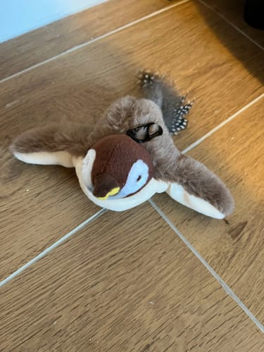 Interactive Chirping Bird Cat Toy