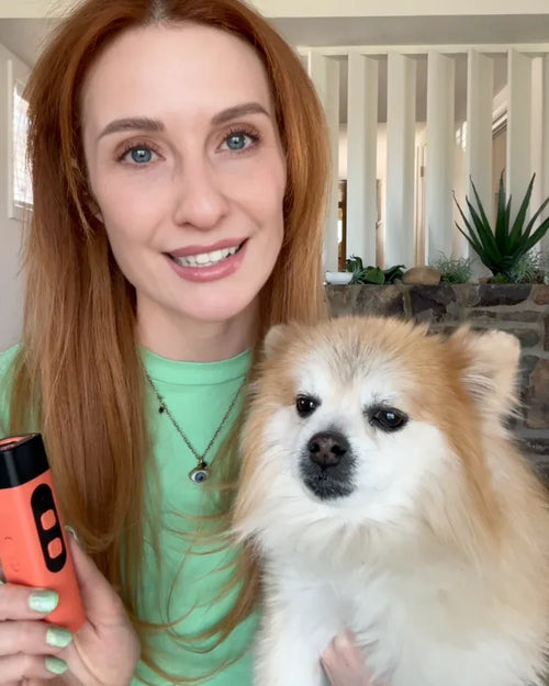 Lighmere Ultrasonic Dog Repelle