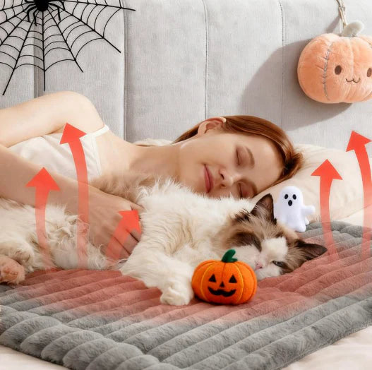 Self-Warming Cat Mat