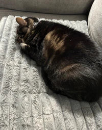 Self-Warming Cat Mat