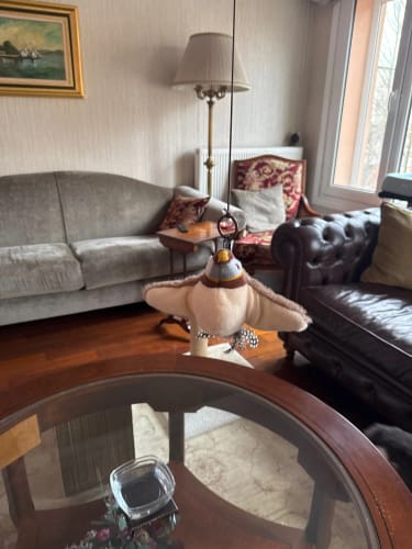 Interactive Chirping Bird Cat Toy